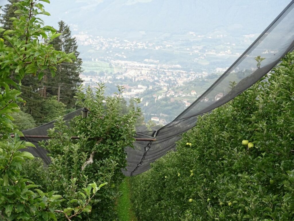 Meran Apfelhain